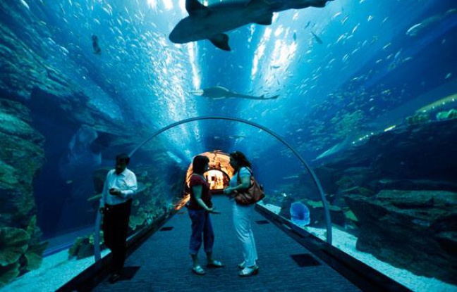 Grand Aquarium de Saint-Malo